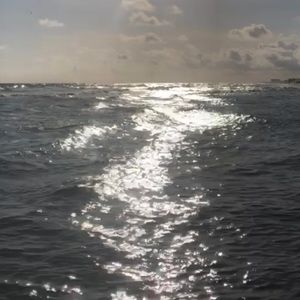 Meet your Posher, Corrine